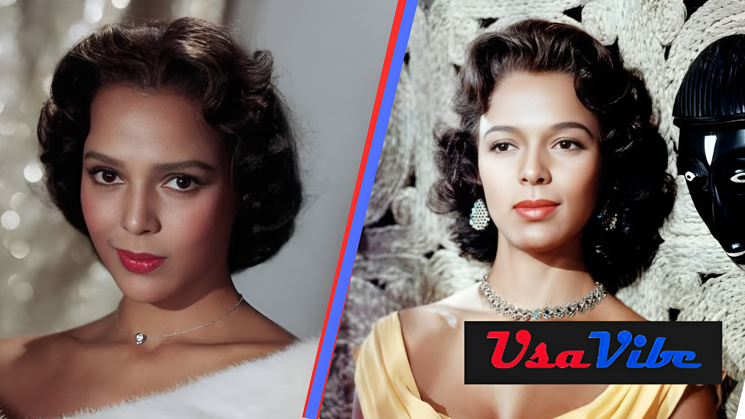 Harolyn Suzanne Nicholas Biography: Dorothy Dandridge’s Daughter